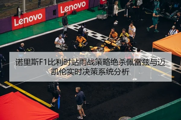 nuo-li-si-bi-li-shi-zhan-yu-zhan-ce-lve-jue-sha-pei-lei-zi-yu-mai-kai-lun-shi-shi-jue-ce-xi-tong-fen-xi-2-832.jpg